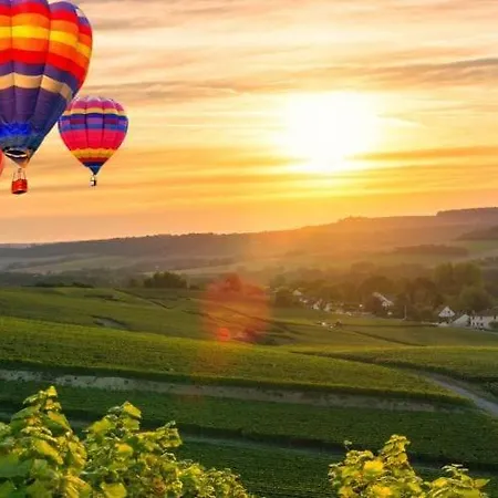 Le Cliquot - Maison - - Jardin - Parking Gratuit 랭스