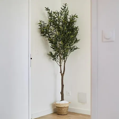 Le Cliquot - Maison - - Jardin - Parking Gratuit